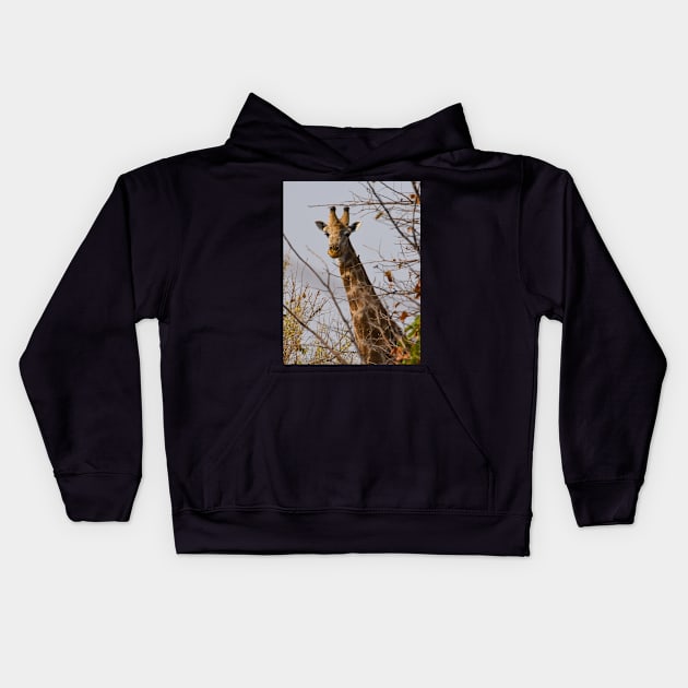 Young curious giraffe in Botswana Kids Hoodie by Steves-Pics